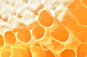 Honey Comb